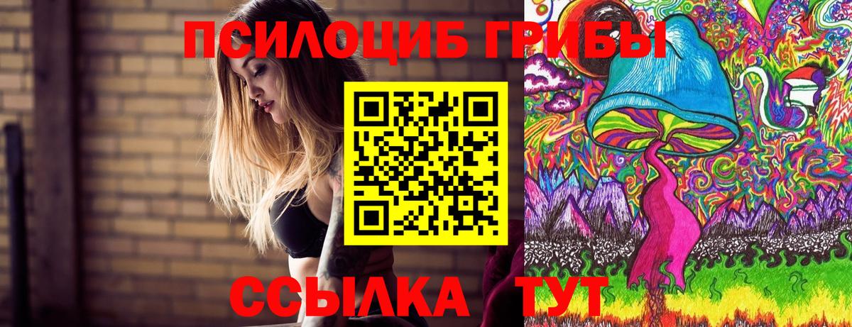 Псилоцибиновые грибы Psilocybine cubensis  где можно купить наркотик  Алапаевск  Галлюциногенные грибы Magic Shrooms  Вход с VPN 